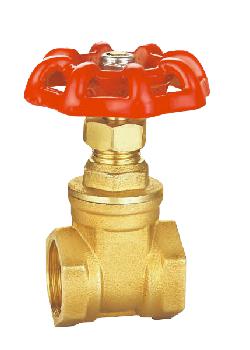 1554864494650213.jpg 1.jpg