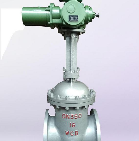 1555822854164862.jpg 1.jpg