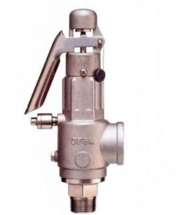 对核电安全阀具有严格的要求 对核电安全阀具有严格的要求